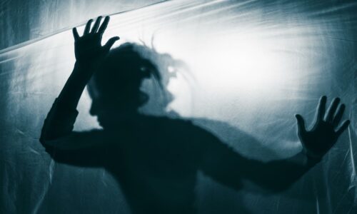 Napadi panike, mentalne bolesti