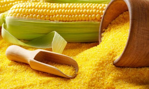 Švajcarci kukuruzno brašno