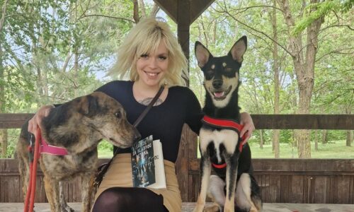 Tina Horvat, knjiga ,,Šapice sa hladnog betona"