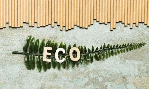 Rezultati merenja karbonskog otiska (Un)ready for the green future, okrugli sto