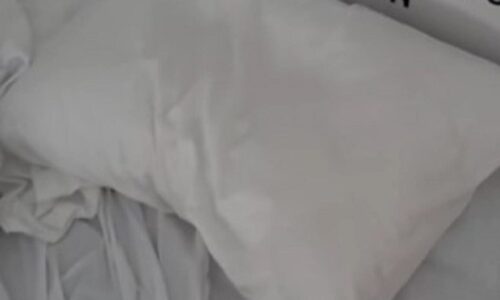 Kreveti na Olimpijadi 2024.