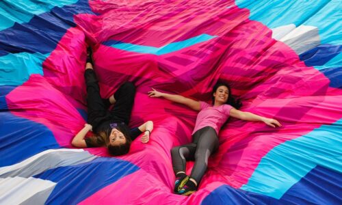 Skakaonica Nemanja Miščevic