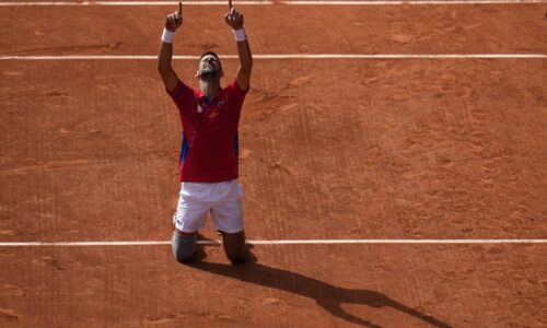 Novak Đoković, titule, mural