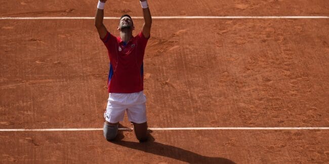 Novak Đoković, titule, mural