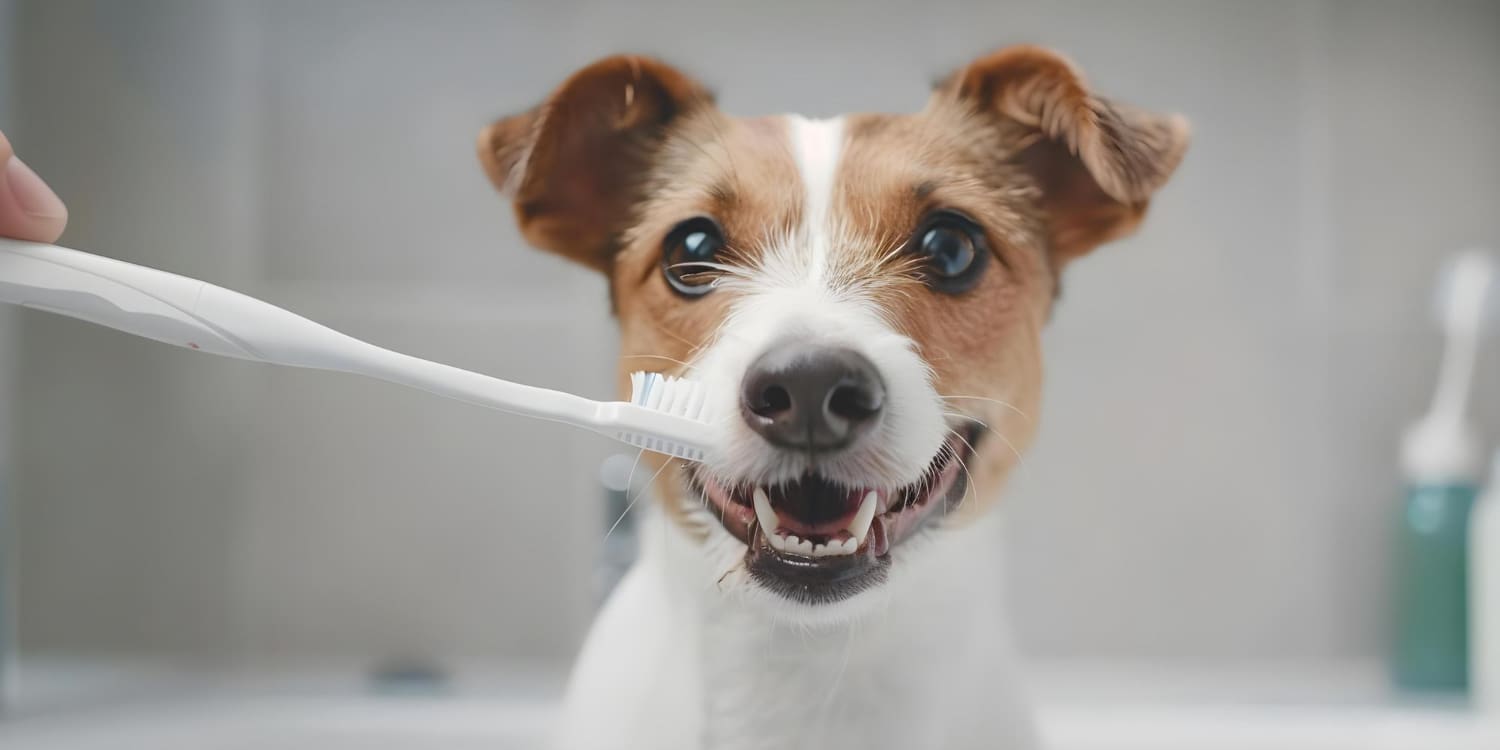 Četkica za zube za pse