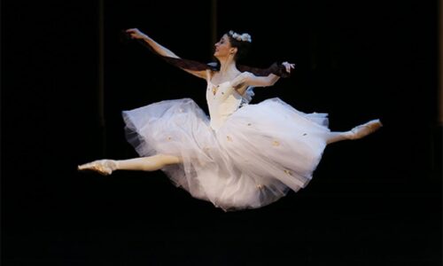 Boljšoj balet - Anna Nikulina Bolshoi Theater MuzArts