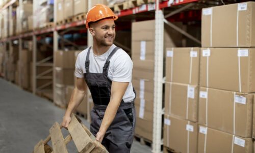 Posao, zanimanja, magacioner