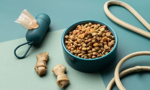 Hrana za kućne ljubimce