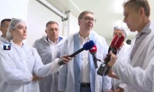 Aleksandar Vučić, MArtinović