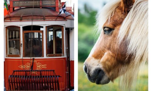 Tramvaj na konjsku vuču