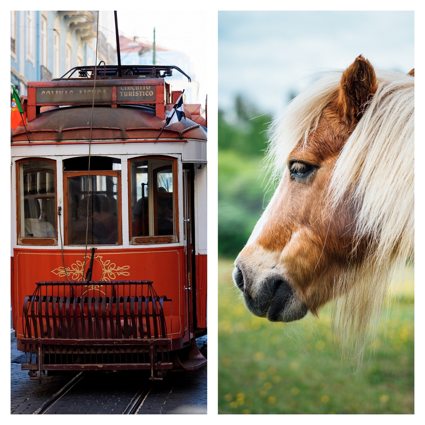 Tramvaj na konjsku vuču