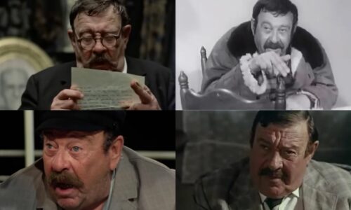 Pavle Vuisić, glumac