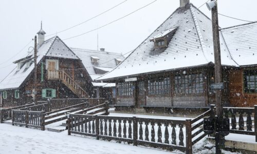 Zimski Vivaldi forum