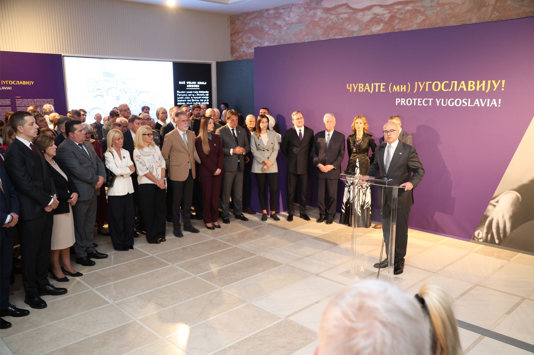 Portret Paja Jovanović, Aleksandar Karađorđević