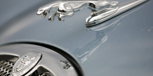 Jaguar logo