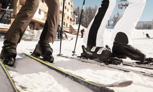 Zimovanje, putovanje