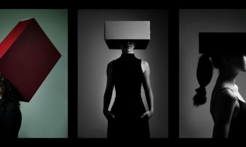 Kutija Nebojša Babić