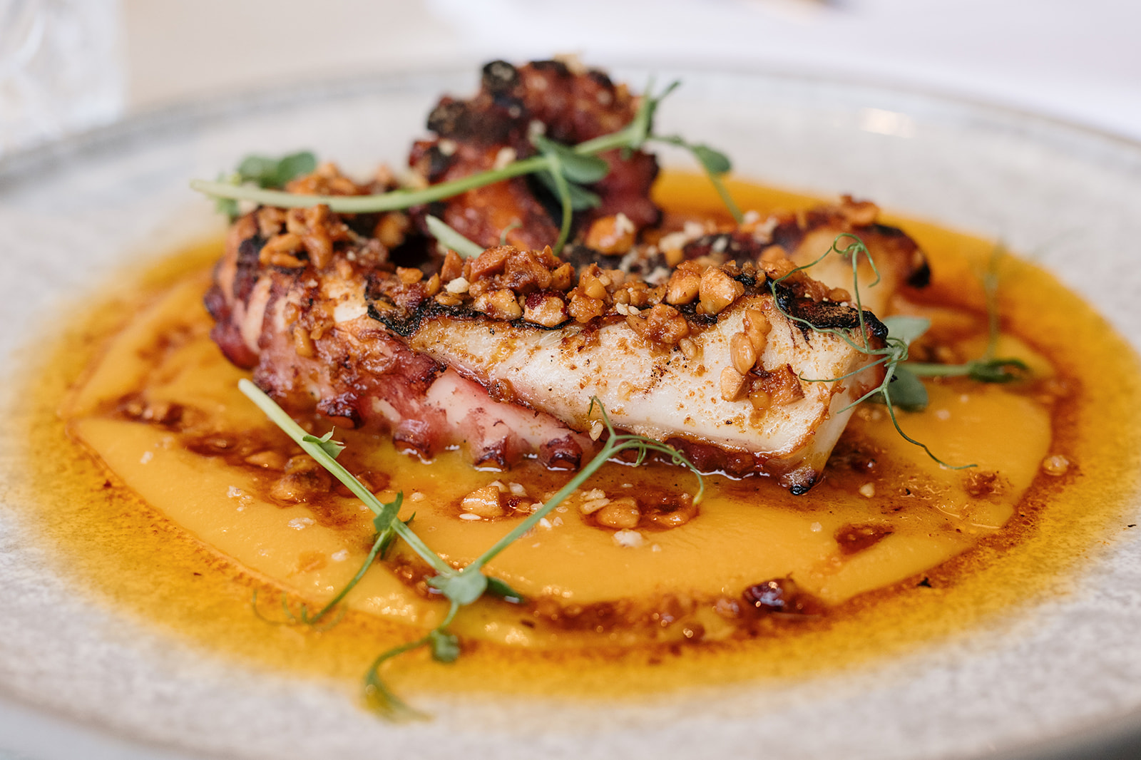 Kuvar, Grafičar, Erhan Ozkaja