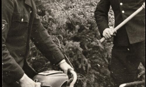 STIHL, otac motorne testere, motorna testera