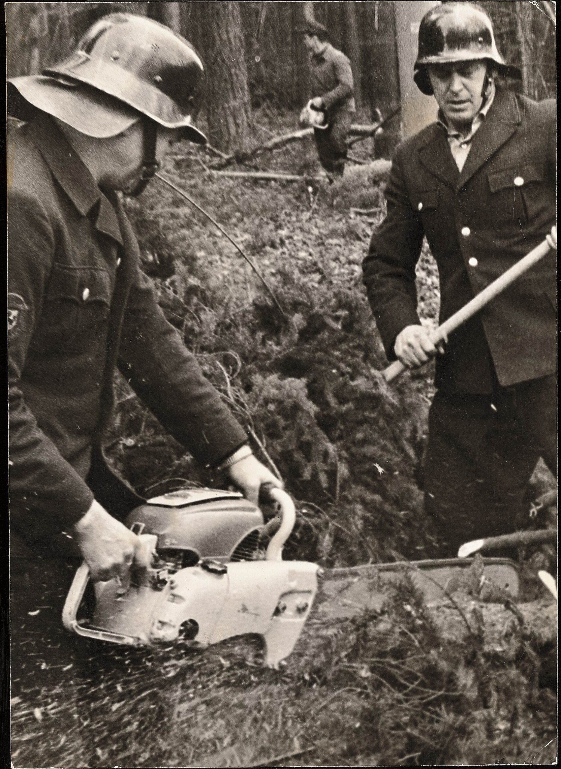 STIHL, otac motorne testere, motorna testera