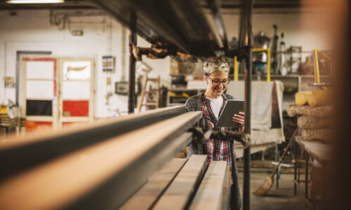 MSP, mala i srednja preduzeća