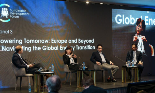 SDF, Energetska tranzicija