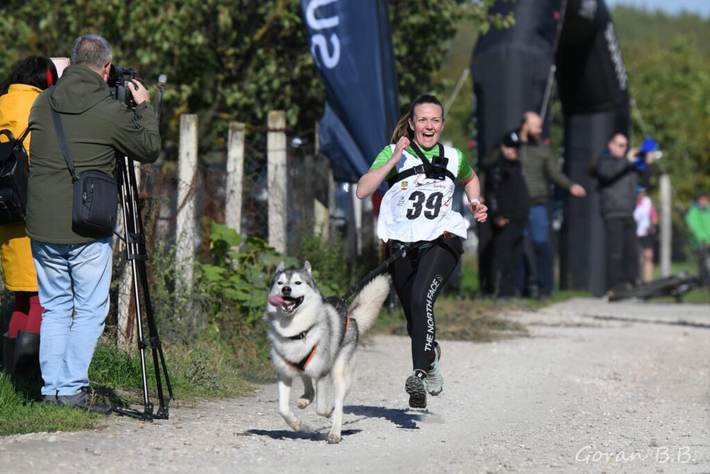 Marija Milutinović haski