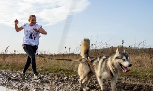 Marija Milutinović haski