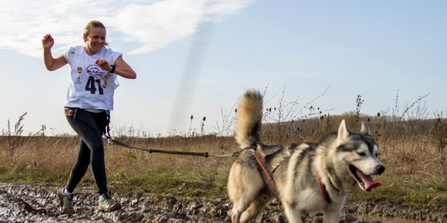 Marija Milutinović haski