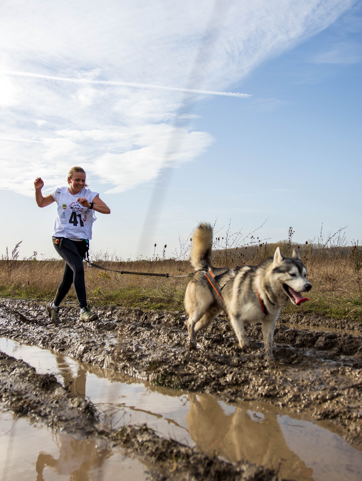 Marija Milutinović haski