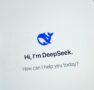 DeepSeek