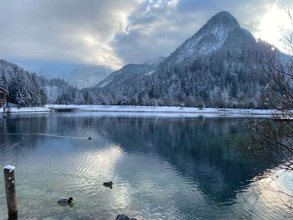 Kranjska gora