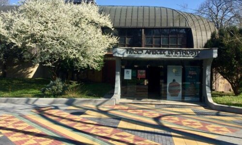 Muzej afričke umetnosti