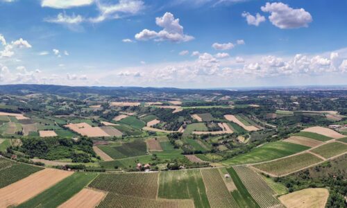 Vinarija Vinum u Sremskim Karlovcima