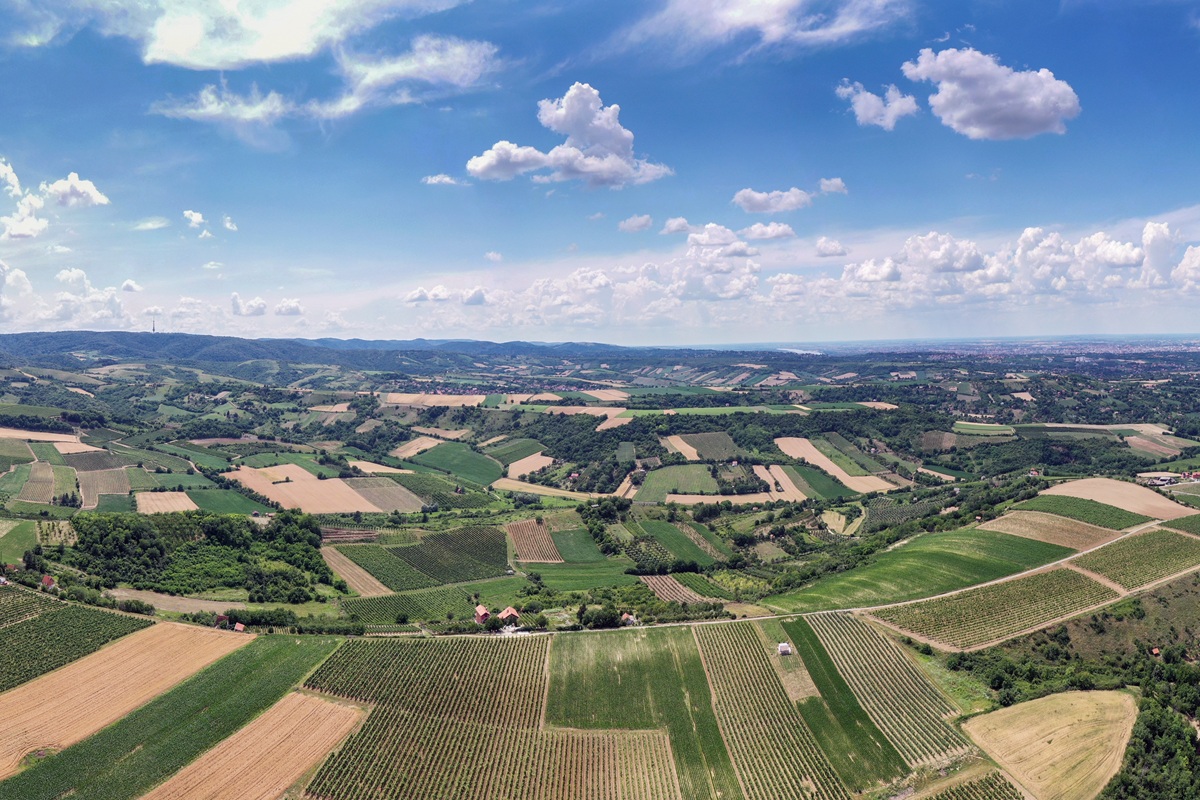 Vinarija Vinum u Sremskim Karlovcima