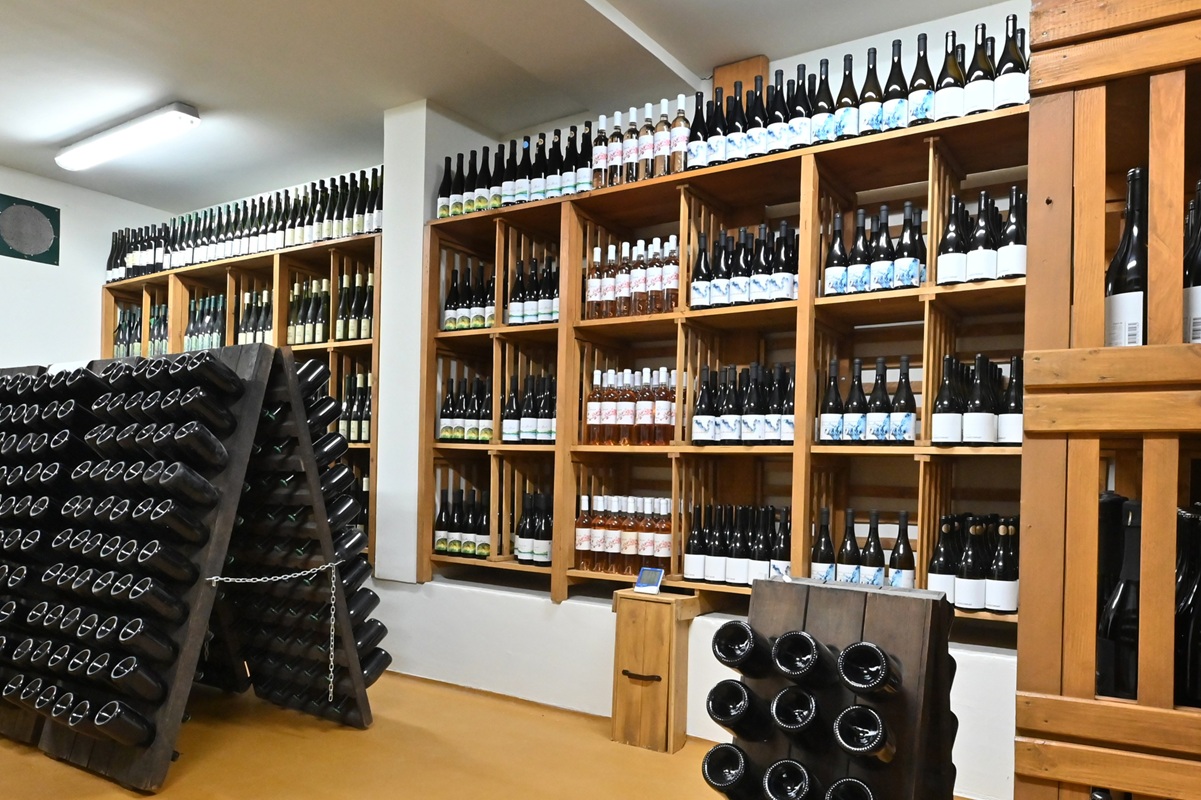 Vinarija Vinum u Sremskim Karlovcima