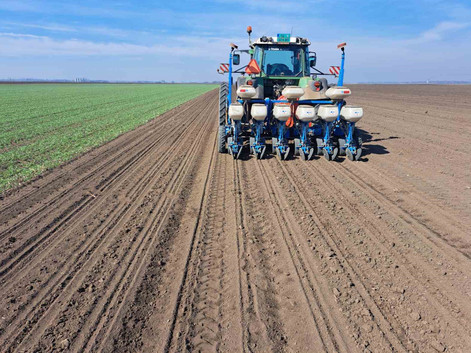 Setva šećerne repe