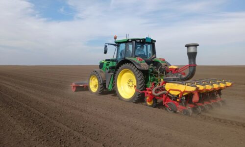 Setva šećerne repe