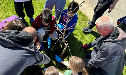 hotel Crowne Plaza Beograd