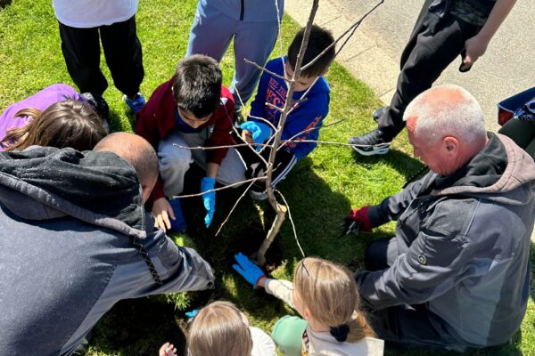 hotel Crowne Plaza Beograd