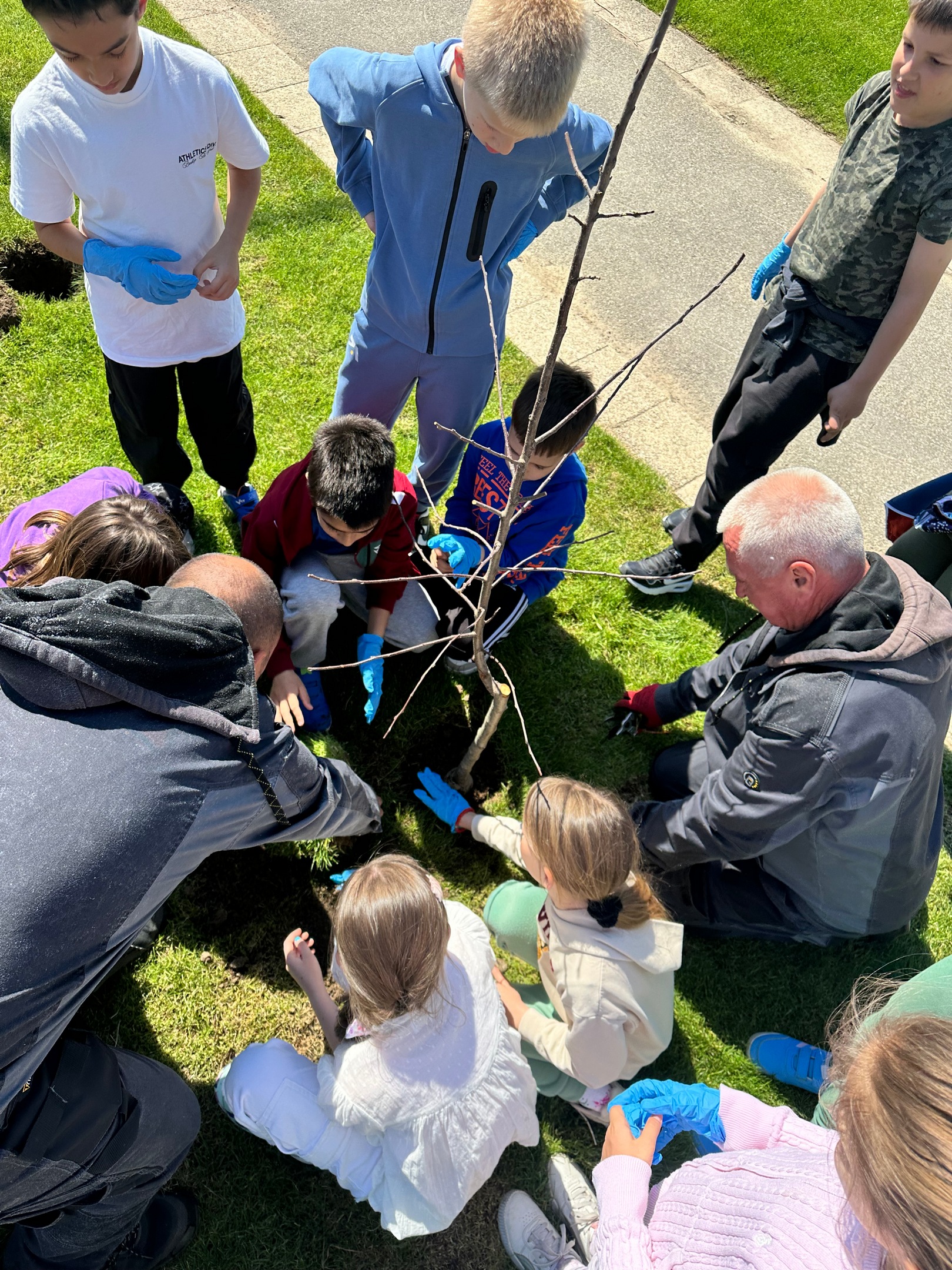 hotel Crowne Plaza Beograd