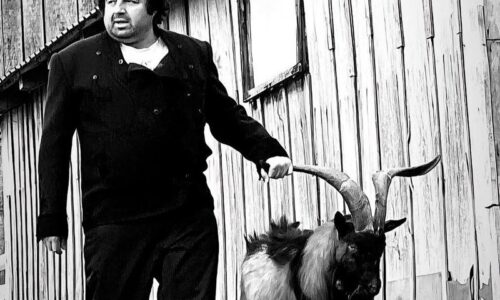 Branko Janković Koza Nostra