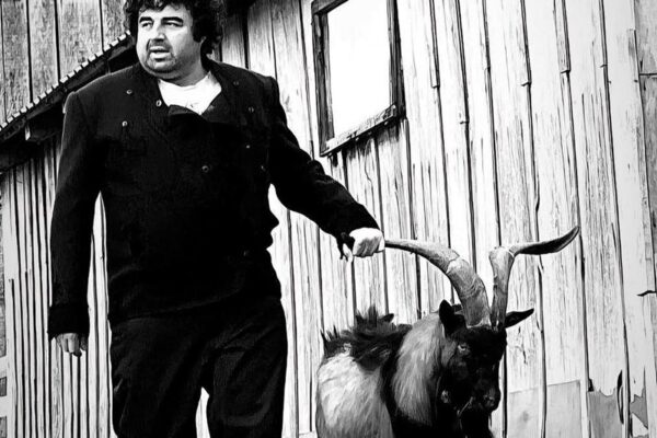 Branko Janković Koza Nostra