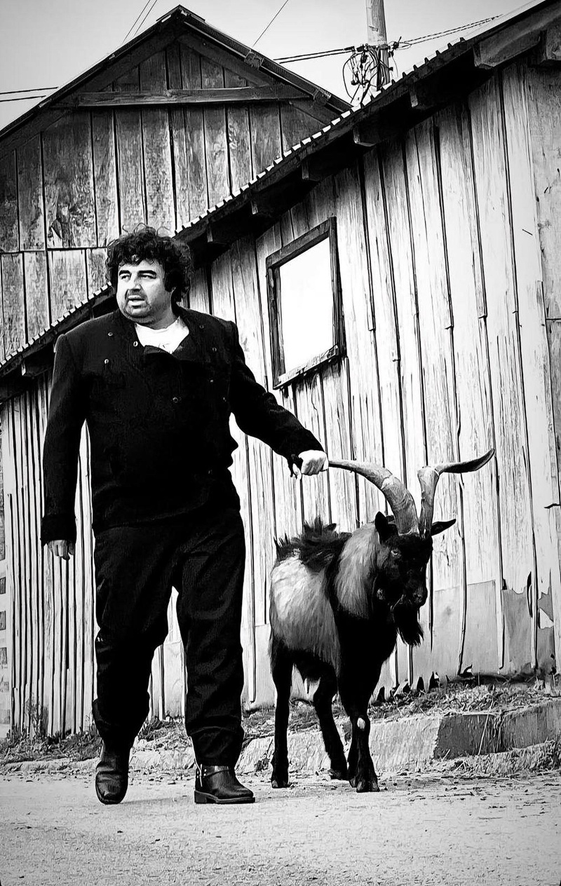 Branko Janković Koza Nostra