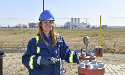 Milica Kočović, kompanija NIS