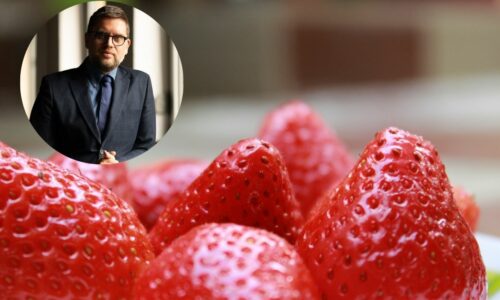 Borislav despotović, jagode