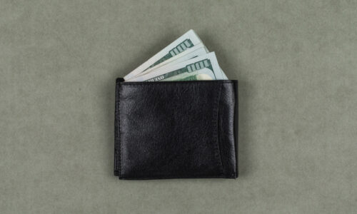 prosečna plata, plata, zarada,