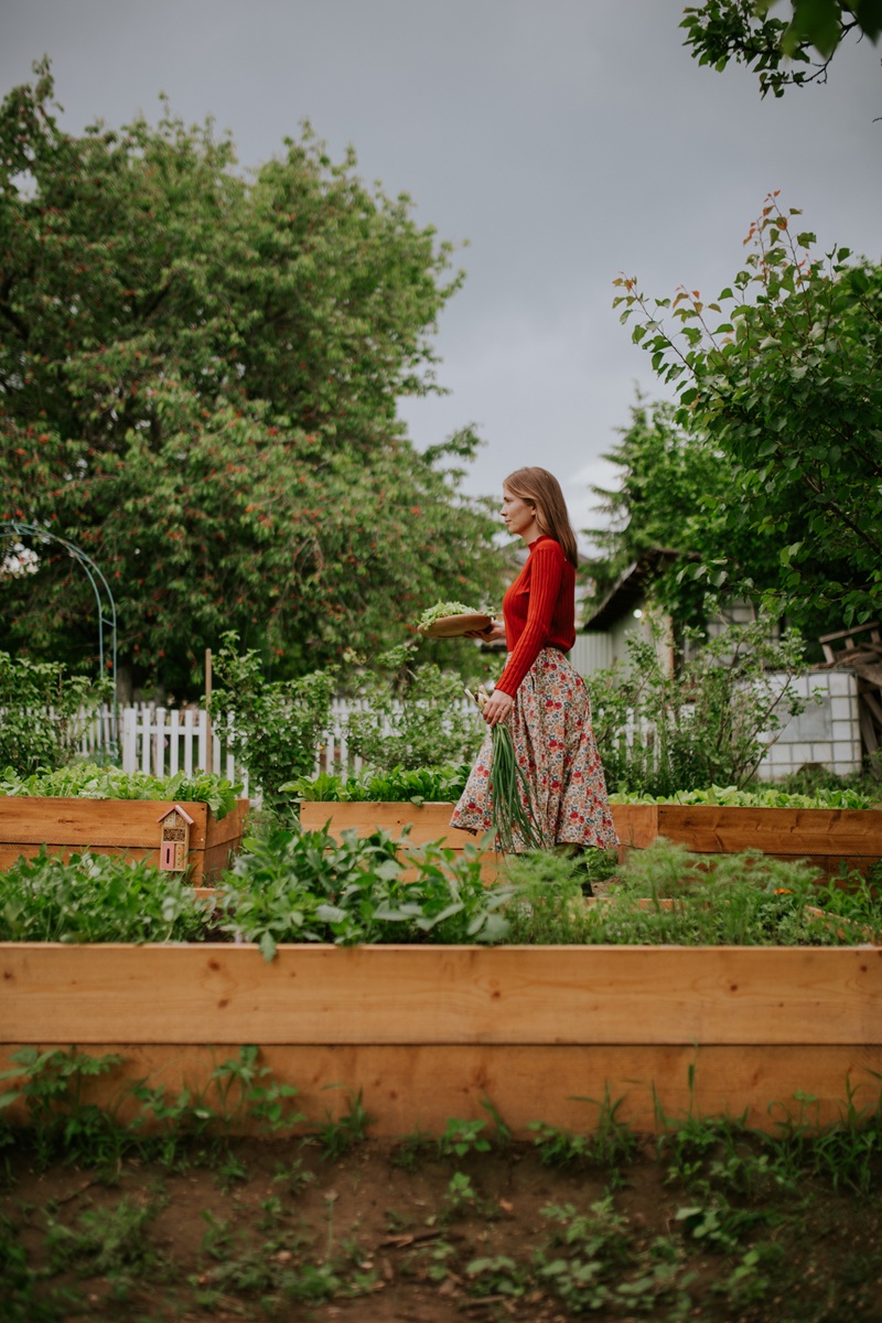 Sonja Lazukić - Silly World