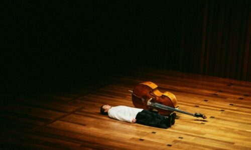 Strahinja Mitrović, kontrabasista