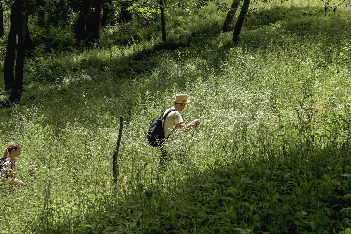 Momčilo Antonijević